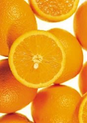 Citrus Campaign