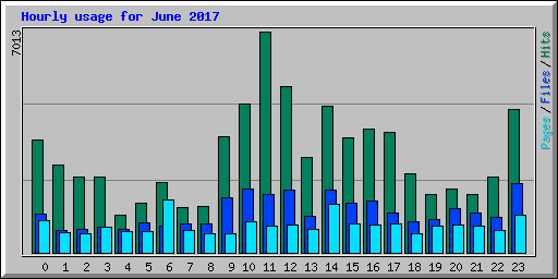 Hourly usage for June 2017