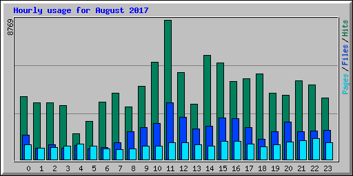 Hourly usage for August 2017